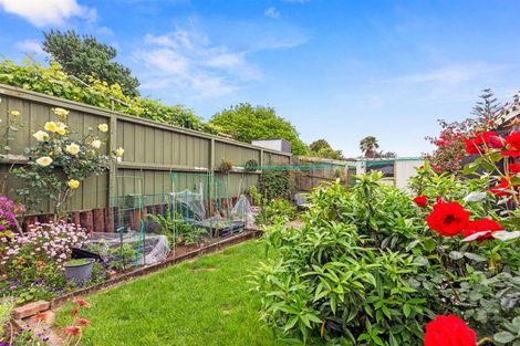 Photo of property in 451 Fraser Street, Parkvale, Tauranga, 3112