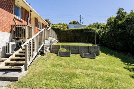 Photo of property in 25 Duckworth Street, Andersons Bay, Dunedin, 9013