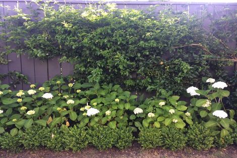 Photo of property in 70 Park Road, Miramar, Wellington, 6022