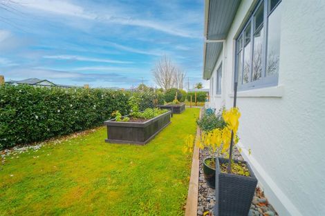 Photo of property in 21 Steele Road, Forest Lake, Hamilton, 3200