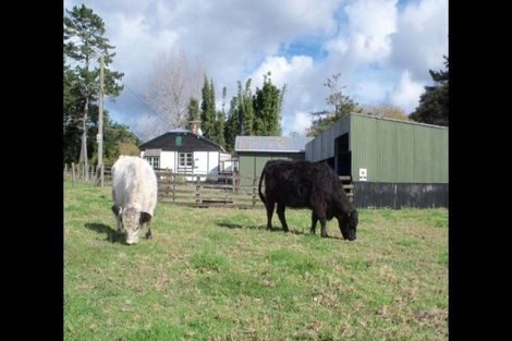 Photo of property in 47 Anzac Road, Waitakere, Auckland, 0816