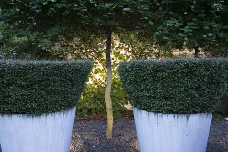 Photo of property in 16 Office Road, Merivale, Christchurch, 8014