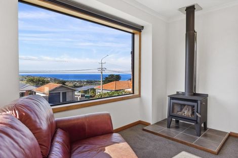 Photo of property in 149 Highcliff Road, Shiel Hill, Dunedin, 9013