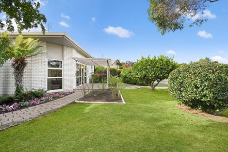 Photo of property in 53 Splitt Avenue, Glenview, Hamilton, 3206