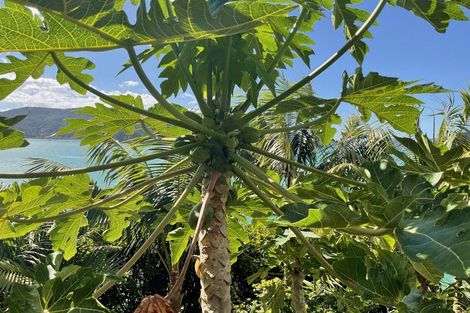 Photo of property in 12c Kent Street, Whangaroa, Kaeo, 0478