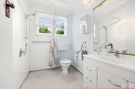 Photo of property in 11 Black Beech Street, Birchville, Upper Hutt, 5018