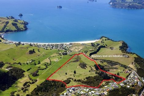 Photo of property in 7 Powhiri Place, Wharekaho, Whitianga, 3510