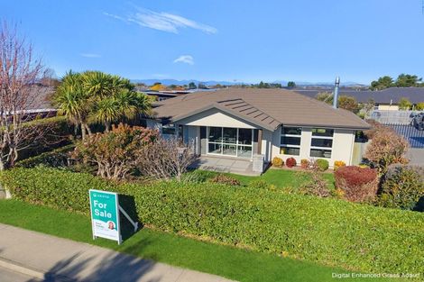 Photo of property in 81 Old Wharf Road, Motueka, 7120
