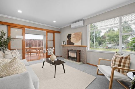 Photo of property in 45 Galloway Street, Hamilton East, Hamilton, 3216