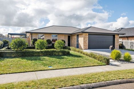 Photo of property in 6 Jarrett Terrace, Leamington, Cambridge, 3432