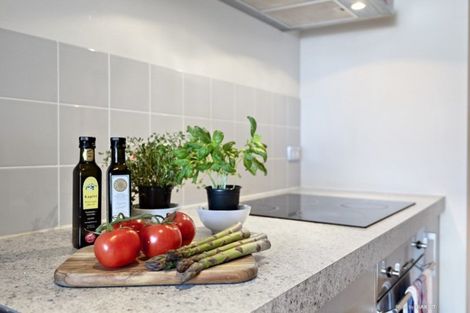 Photo of property in Monument Apartments, 3b/245 Wakefield Street, Te Aro, Wellington, 6011