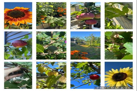 Photo of property in 1 Clough Road, Paroa, Greymouth, 7805