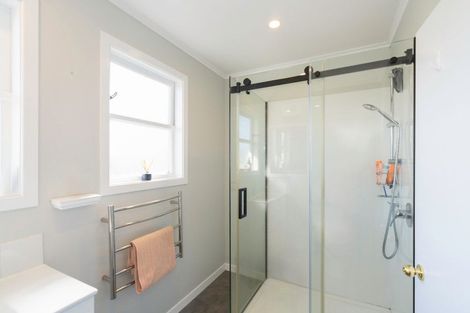 Photo of property in 55 Tiro Tiro Road, Levin, 5510