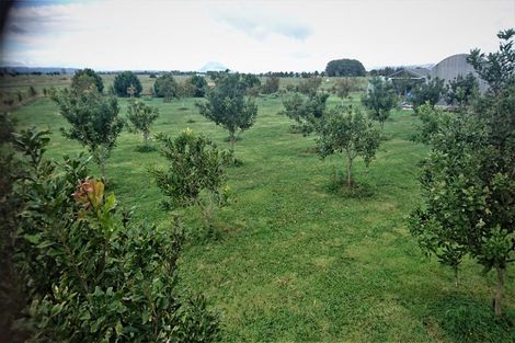 Photo of property in 324 Greig Road, Matata, Whakatane, 3194