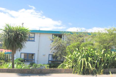 Photo of property in 117 Tasman Street, Mount Cook, Wellington, 6021