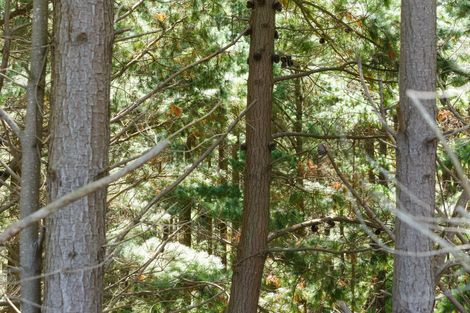 Photo of property in 57 Fitzherbert East Road, Aokautere, Palmerston North, 4471