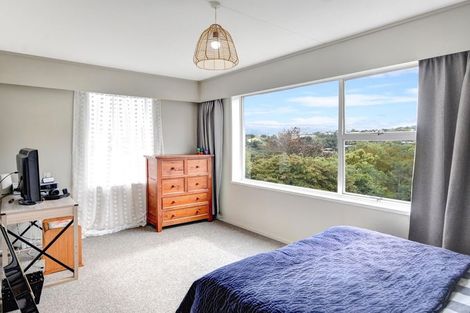 Photo of property in 33 Elliffe Place, Shiel Hill, Dunedin, 9013