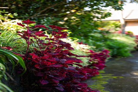 Photo of property in 80 Koutunui Road, Athenree, Katikati, 3177