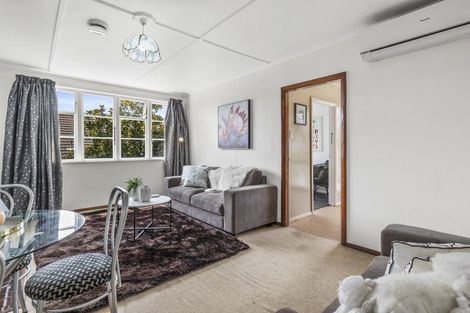 Photo of property in 37 Panmure Avenue, Calton Hill, Dunedin, 9012