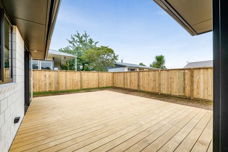 Photo of property in 119a Hamlet Street, Stratford, 4332