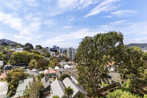 Photo of property in Fairmont Flats, 3c/20 Maarama Crescent, Aro Valley, Wellington, 6021