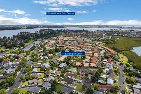 Photo of property in 12 Avonglen Court, Wattle Downs, Auckland, 2103