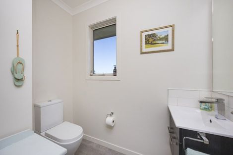Photo of property in 60 Beechwood Road, Feilding, 4779