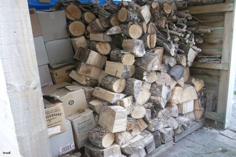 Photo of property in 26 Brocas Avenue, Hillcrest, Hamilton, 3216