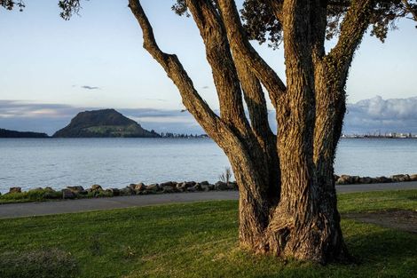 Photo of property in 529a Otumoetai Road, Matua, Tauranga, 3110