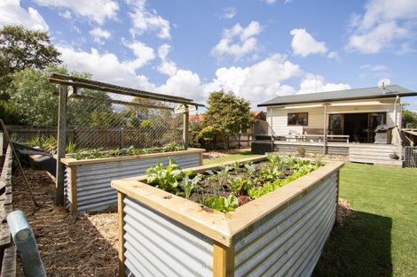 Photo of property in 21 Puriri Valley Road, Puriri, Thames, 3578