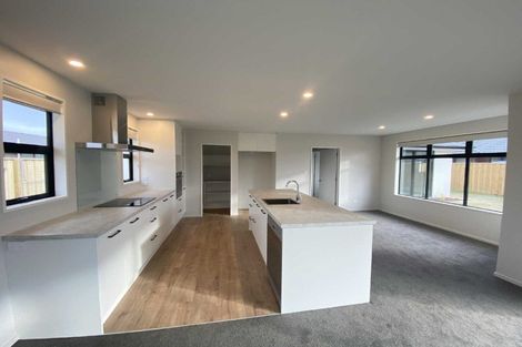 Photo of property in 51 Tiritiri Moana Drive, Pegasus, 7612