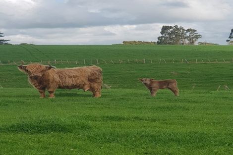 Photo of property in 139 Andrews Road, Onewhero, Tuakau, 2697