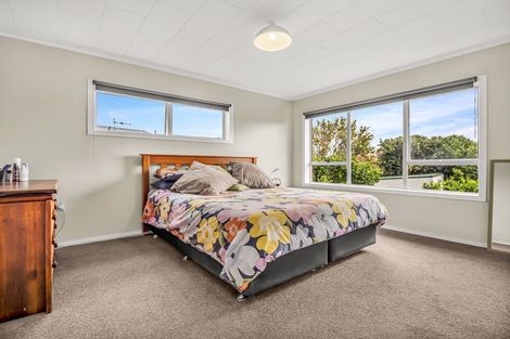 Photo of property in 15 Burgess Street, Te Aroha, 3320