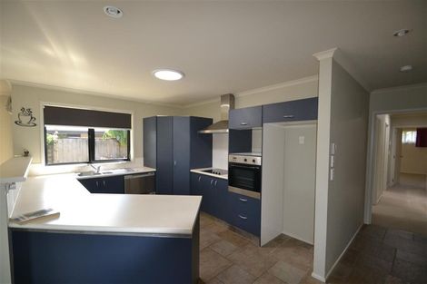 Photo of property in 63 Templemore Drive, Richmond, 7020