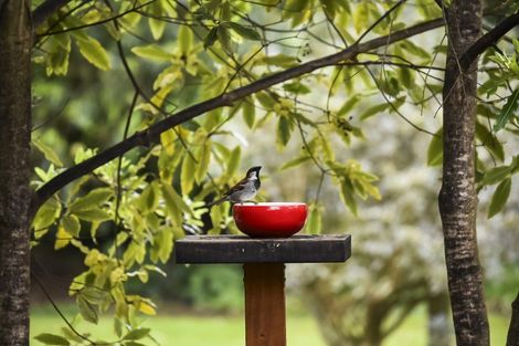 Photo of property in 1348a Pohangina Road, Pohangina, Ashhurst, 4884