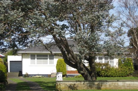 Photo of property in 45 Konini Street, Tawhero, Whanganui, 4501