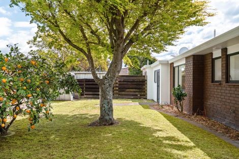 Photo of property in 4b Ngarimu Place, Mount Maunganui, 3116