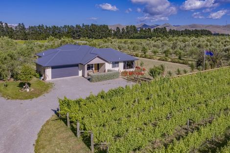 Photo of property in 323 Georges Road, Glasnevin, Amberley, 7482