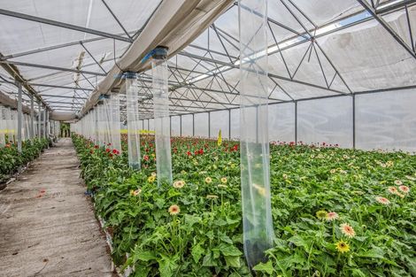 Photo of property in 26 Bristol Road, Whenuapai, Auckland, 0618