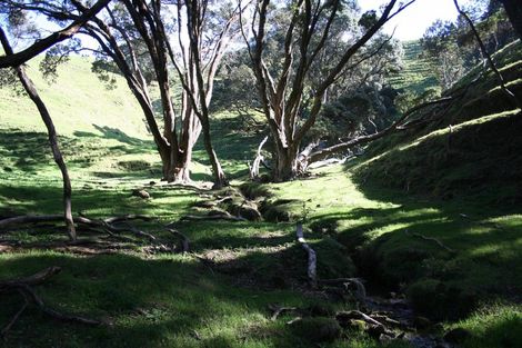 Photo of property in 341 Onemana Drive, Onemana, Whangamata, 3691