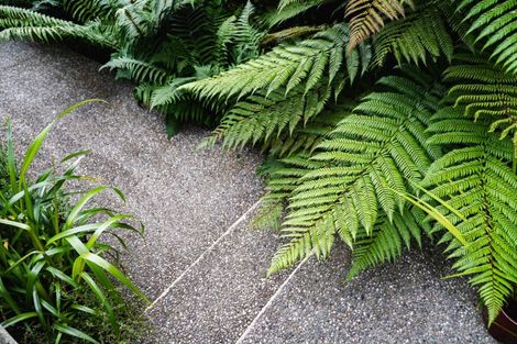 Photo of property in 61 Cannington Road, Maori Hill, Dunedin, 9010