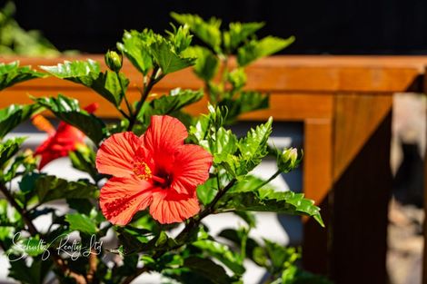 Photo of property in 4 Hebe Lane, Maungaturoto, 0520