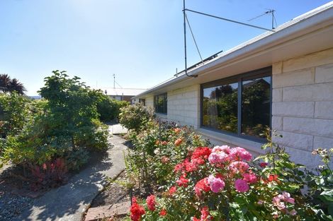 Photo of property in 155b Hagart-alexander Drive, Mosgiel, 9024