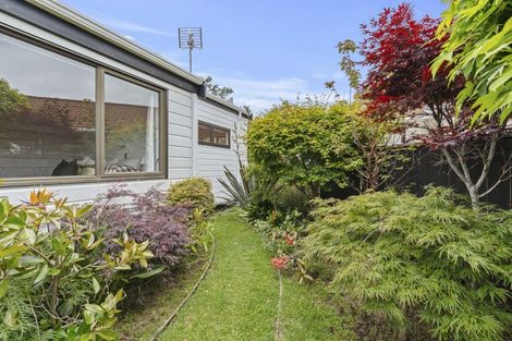 Photo of property in 6 Honnor Place, Hurdon, New Plymouth, 4310