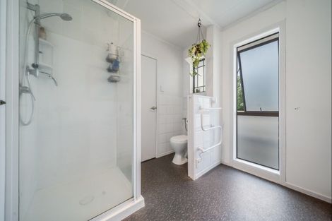 Photo of property in 17 Lethborg Street, Dinsdale, Hamilton, 3204