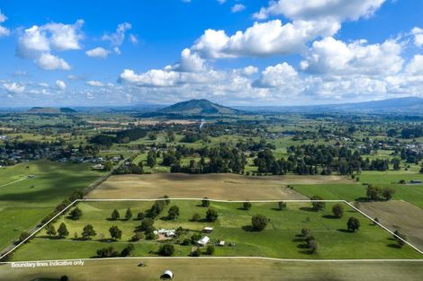 Photo of property in 81 Mcghie Road, Kihikihi, Te Awamutu, 3875