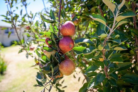 Photo of property in 24 Glen Terrace, Te Puke, 3119