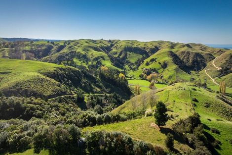 Photo of property in 863 Puketitiri Road, Puketapu, Napier, 4182