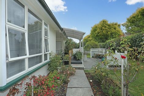 Photo of property in 151 North Street, Feilding, 4702