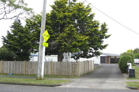 Photo of property in 95 Seddon Street, Pukekohe, 2120
